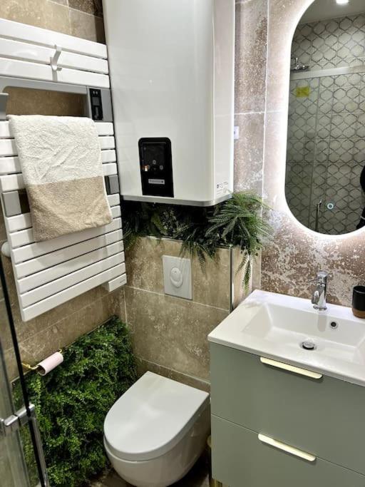 Studio 2 Neuf A 100M Des Plages Et De La Gare Saint-Raphaël Екстериор снимка